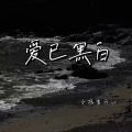 可乐 - 爱已黑白