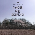 신생아를 위한 나즈막한 클래식