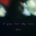 胡凯尔 - If you feel my love