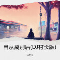 DJ村长 - 自从离别后 (DJ村长 remix)