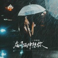 在风雨中想你(粤语金曲)