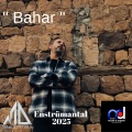 Mahmut Diker - Bahar