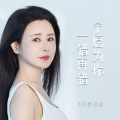 肖雨蒙 - 宁愿为你一错再错