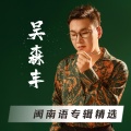 吴森丰 - 爱情一阵风