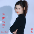 谭歌 - 别怕我伤心