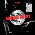 Look Into The Sky (feat. Badnewz) [Explicit]