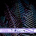 Volachi - Nature