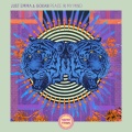 Peace in My Mind (Explicit)