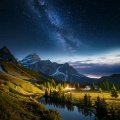 Lofi-Hip-Hop-Humanoide、Sonidos ambientales de la naturaleza、Sonidos relajantes de la selva tropical - Melodías Tranquilas De La Tarde Suaves