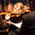 Restful Slumber with Sleep Orchestra