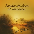 Sonidos De Aves - Sonidos de Aves al Amanecer