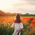 Tardes Serenas: Canciones Suaves Para Relajarse