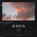 韦小帅 - 离别的伤