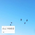 禁城 - 枕水流年梦