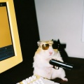 MOUSE DANCE (老鼠舞)