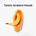 Tantric Ambient Moods