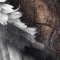 remind yourself (Explicit)