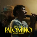 Palomino (Samarian Session)