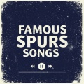 POSTECOGLU BALL - Oliver Skipp Song