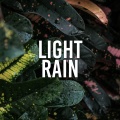 ASMR - Soggy Weather