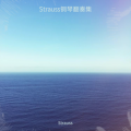 Strauss钢琴翻奏集