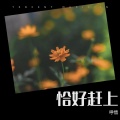 琥珀 - 微笑的力量