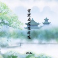 悟山 - 雾里看花花非花