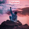 Polytunes - Awards