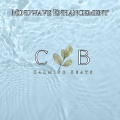 Oasis of Serenity、Sundance Darling、Calming Beats - Vibrational Peace 417 Hz
