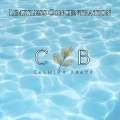 Oasis of Serenity、Sundance Darling、Calming Beats - Infinite Harmony 639 Hz