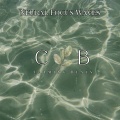 Neural Focus Waves