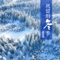 李东信 - 巩留的冬季