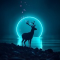 Attrape-rêves Oasis - Deep-House-Vibes