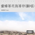 蜜蜂等花我等你(翻唱)