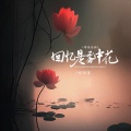 阿国哥 - 回忆是雾中花