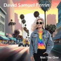 David Samuel Perrin - Not the One