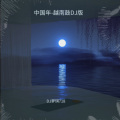 DJ梦琪718、文 - 就算这辈子不是夫妻