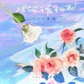 梨笑笑 - 山茶花读不懂白玫瑰