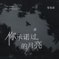 你承诺过的月亮