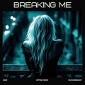 Hypervisor、Envi、Rush Besight - Breaking Me