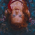 Alexia Evellyn - Scars
