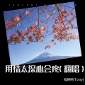 用情太深心会疼(翻唱)