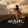 回忆是雾中花(粤语金曲)