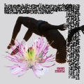 Kohei - Companion