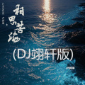 相思苦海 (伴奏)(DJ翊轩版)