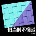 继承人 - 恨当时不懂爱