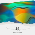 Bob D.R. Zou韵驰 - 顺