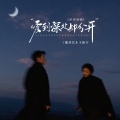 魏佳艺、王振宇 - 爱到深处却分开