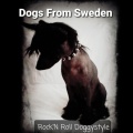 Dogs From Sweden - Stray Kid