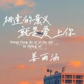 姜雨涵 - 相逢的意义就是爱上你